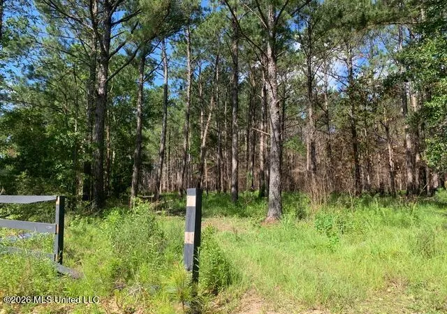 Photo 4 of Land for sale at Lower Bay Rd, Bay Saint Louis, MS 39520 | MLS# 4152757 | Listing updated on 2026-06-14