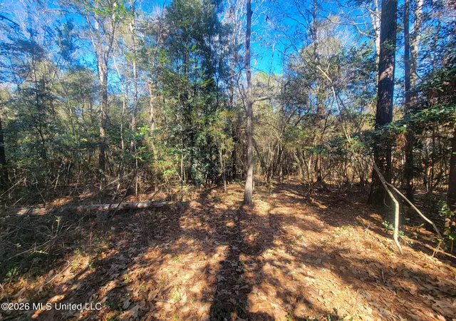Homes for sale in Diamondhead, MS | 97165 Kapalama Dr, Diamondhead, MS 39525 | MLS# 4151948