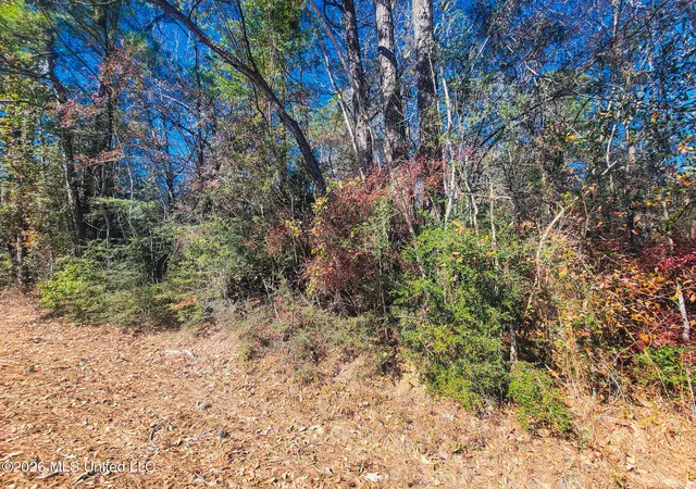 Homes for sale in Diamondhead, MS | 97165 Kapalama Dr, Diamondhead, MS 39525 | MLS# 4151948