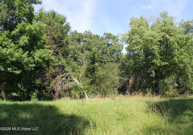 Homes for sale in Holly Springs, MS | 665 Briscoe Rd, Holly Springs, MS 38635 | MLS# 4152000
