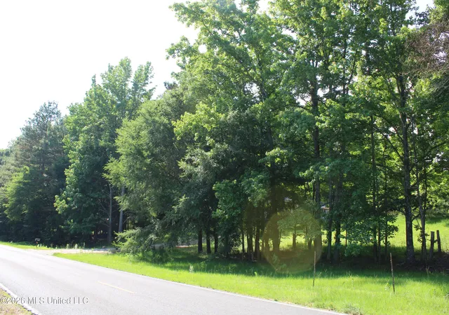 Homes for sale in Holly Springs, MS | 665 Briscoe Rd, Holly Springs, MS 38635 | MLS# 4152000