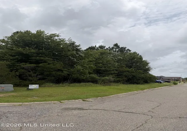 Photo 3 of Land for sale at Canal Jct Dr, Gulfport, MS 39503 | MLS# 4151982 | Listing updated on 2026-10-08