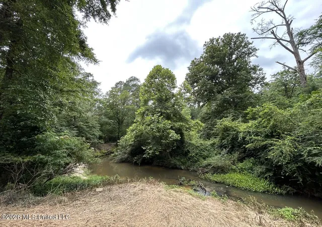 Homes for sale in Osyka, MS | 6642 Grange Hall Rd, Osyka, MS 39657 | MLS# 4151994