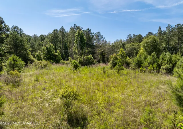 Homes for sale in Richton, MS | Ab Jordan Dr, Richton, MS 39476 | MLS# 4151993