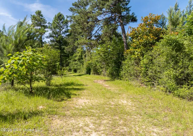 Homes for sale in Richton, MS | Ab Jordan Dr, Richton, MS 39476 | MLS# 4151993