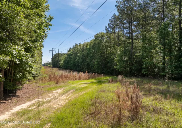 Homes for sale in Richton, MS | Ab Jordan Dr, Richton, MS 39476 | MLS# 4151993