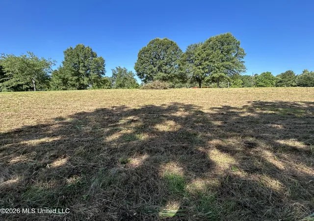Homes for sale in Summit, MS | 0000 Willis Cotton Rd, Summit, MS 39666 | MLS# 4152009