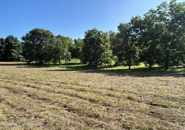 Homes for sale in Summit, MS | 0000 Willis Cotton Rd, Summit, MS 39666 | MLS# 4152009
