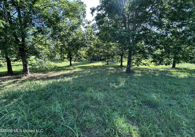 Homes for sale in Summit, MS | 0000 Willis Cotton Rd, Summit, MS 39666 | MLS# 4152009