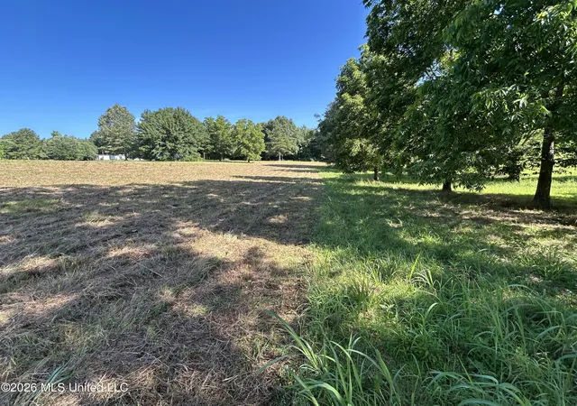 Homes for sale in Summit, MS | 0000 Willis Cotton Rd, Summit, MS 39666 | MLS# 4152009