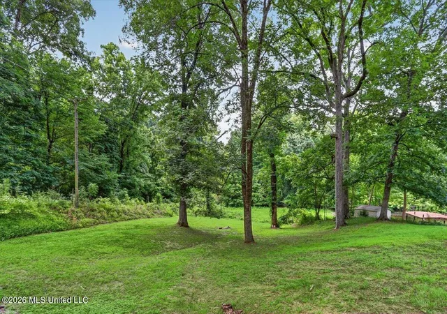 Homes for sale in Hernando, MS | 10641 Ben Lomond Cvs, Hernando, MS 38632 | MLS# 4152411