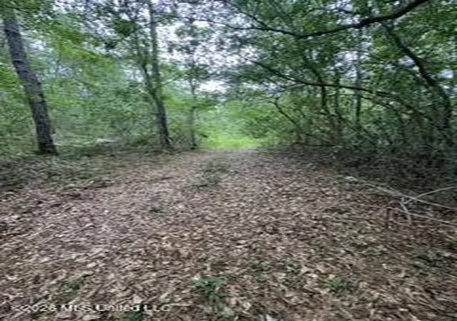 Photo 2 of Land for sale at 11102 Coleman Rd, Gulfport, MS 39503 | MLS# 4152021 | Listing updated on 2026-06-08