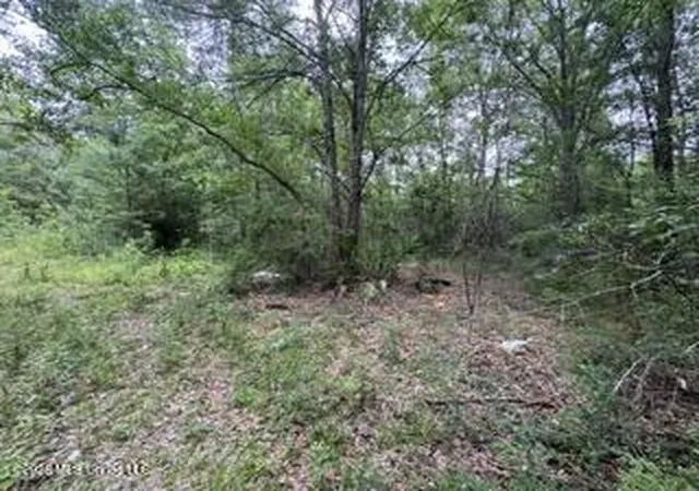 Photo 3 of Land for sale at 11102 Coleman Rd, Gulfport, MS 39503 | MLS# 4152021 | Listing updated on 2026-06-08