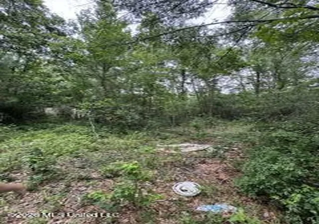 Photo 3 of Land for sale at 11102 Coleman Rd, Gulfport, MS 39503 | MLS# 4152021 | Listing updated on 2026-06-08