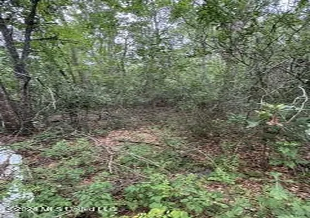 Photo 4 of Land for sale at 11102 Coleman Rd, Gulfport, MS 39503 | MLS# 4152021 | Listing updated on 2026-06-08