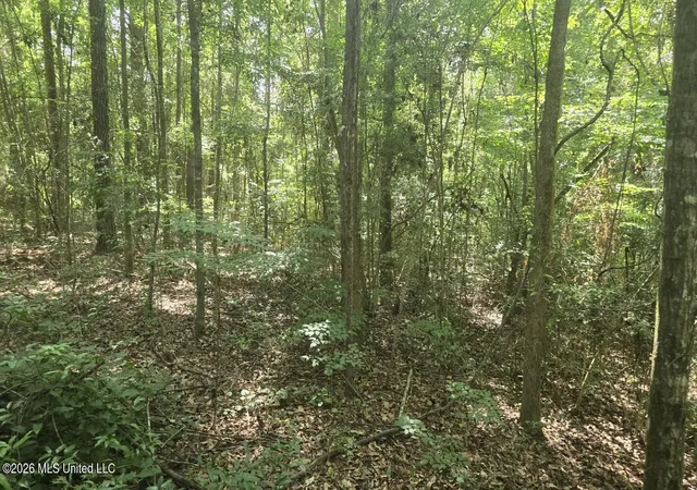 Homes for sale in State Line, MS | Addison Road, State Line, MS 39362 | MLS# 4152036