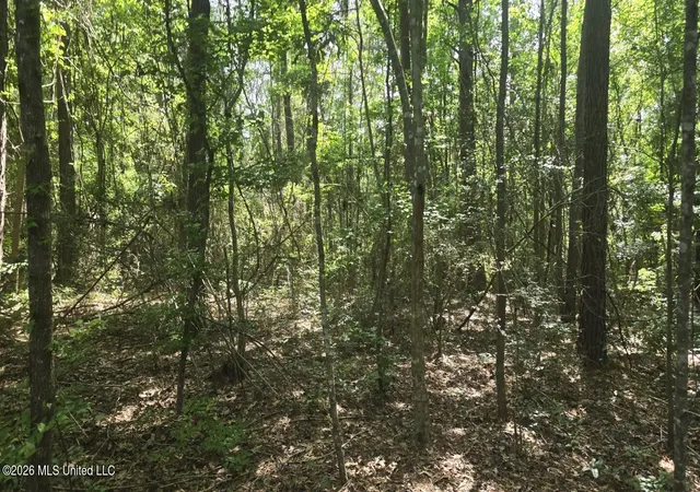 Homes for sale in State Line, MS | Addison Road, State Line, MS 39362 | MLS# 4152036