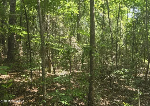 Homes for sale in State Line, MS | Addison Road, State Line, MS 39362 | MLS# 4152036