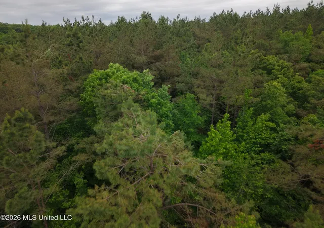 Homes for sale in Grenada, MS | Beechwood Dr, Grenada, MS 38901 | MLS# 4152246
