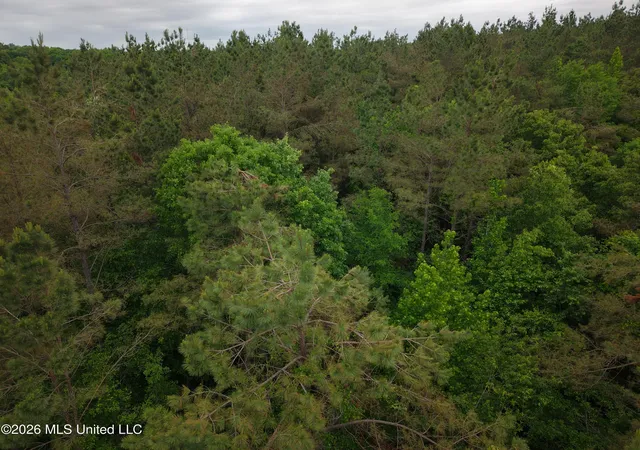 Homes for sale in Grenada, MS | Beechwood Dr, Grenada, MS 38901 | MLS# 4152246