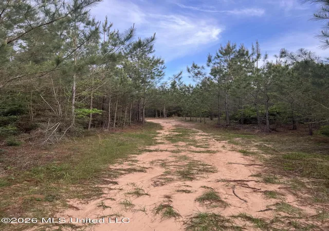 Homes for sale in Shubuta, MS | County Road 230, Shubuta, MS 39360 | MLS# 4152126