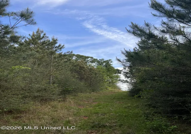 Homes for sale in Shubuta, MS | County Road 230, Shubuta, MS 39360 | MLS# 4152126