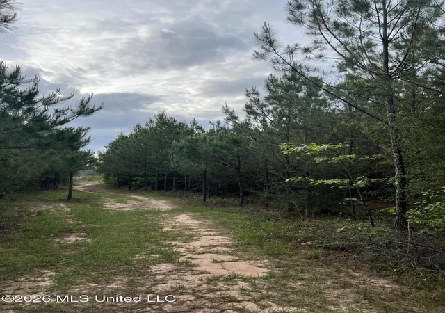 Homes for sale in Shubuta, MS | County Road 230, Shubuta, MS 39360 | MLS# 4152126