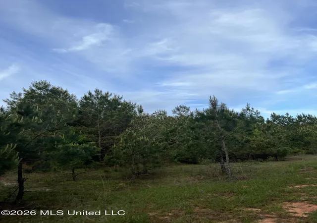 Homes for sale in Shubuta, MS | County Road 230, Shubuta, MS 39360 | MLS# 4152126