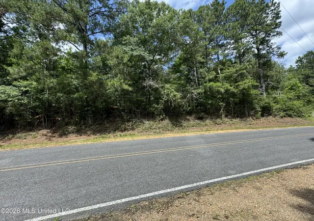 Homes for sale in Liberty, MS | Berwick Cassels/ Hwy 48 Rd, Liberty, MS 39645 | MLS# 4152141