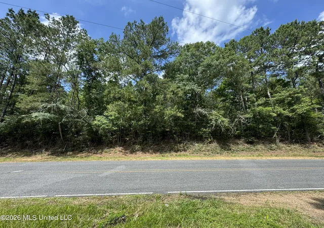 Homes for sale in Liberty, MS | Berwick Cassels/ Hwy 48 Rd, Liberty, MS 39645 | MLS# 4152141