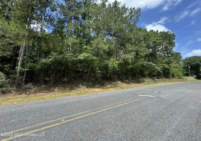 Homes for sale in Liberty, MS | Berwick Cassels/ Hwy 48 Rd, Liberty, MS 39645 | MLS# 4152141