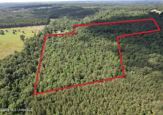 Homes for sale in Taylorsville, MS | 135 Joe Booth Rd, Taylorsville, MS 39168 | MLS# 4152259