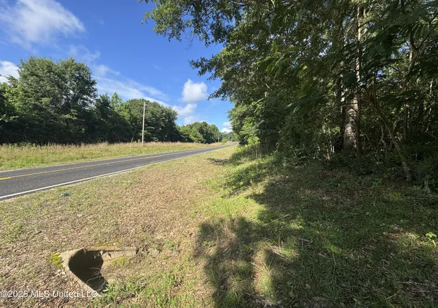 Homes for sale in Taylorsville, MS | 135 Joe Booth Rd, Taylorsville, MS 39168 | MLS# 4152259