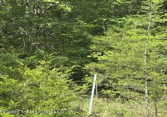 Photo 3 of Land for sale at 139 David Cvs, Byhalia, MS 38611 | MLS# 4152153 | Listing updated on 2026-08-26