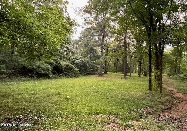 4th image of 229 12 Oaks Tr, Canton, MS 39046 | MLS# 4152195