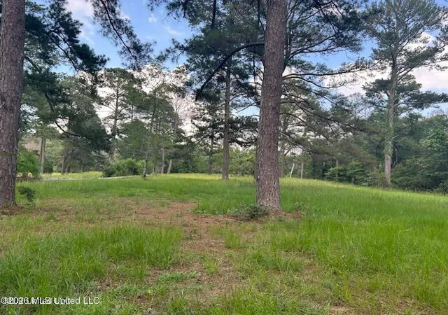 5th image of 229 12 Oaks Tr, Canton, MS 39046 | MLS# 4152195