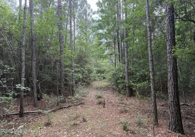 Photo 1 of Land for sale at Highway 49, Saucier, MS 39574 | MLS# 4152229 | Listing updated on 2026-09-15