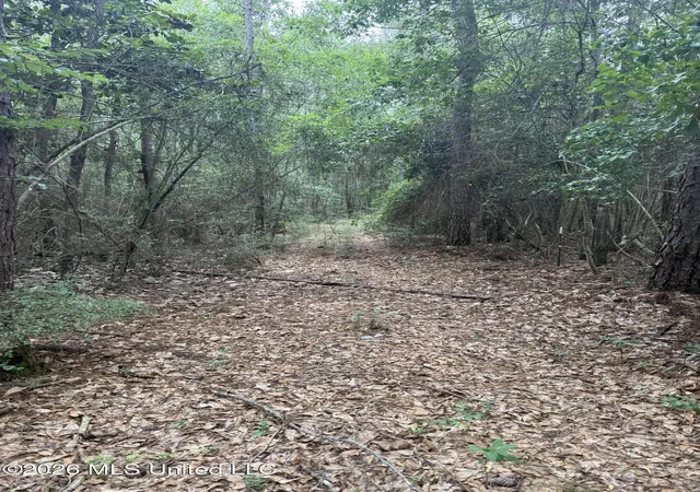 Photo 3 of Land for sale at Highway 49, Saucier, MS 39574 | MLS# 4152229 | Listing updated on 2026-09-15
