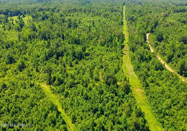 Homes for sale in Coila, MS | County Road 159, Coila, MS 38923 | MLS# 4152220