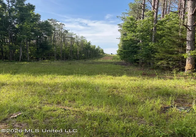 Homes for sale in Coila, MS | County Road 159, Coila, MS 38923 | MLS# 4152220