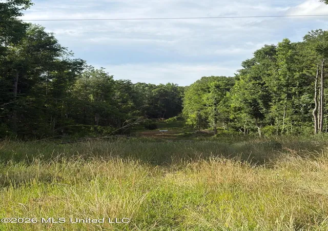 Homes for sale in Coila, MS | County Road 159, Coila, MS 38923 | MLS# 4152220