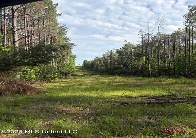 Homes for sale in Coila, MS | County Road 159, Coila, MS 38923 | MLS# 4152220