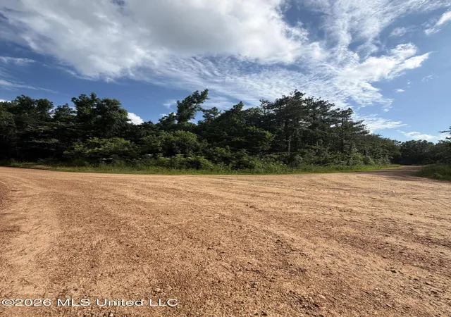 Homes for sale in Coila, MS | County Road 159, Coila, MS 38923 | MLS# 4152220