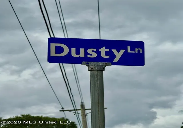 32nd image of 28061 Dusty Ln, Picayune, MS 39466 | MLS# 4152211