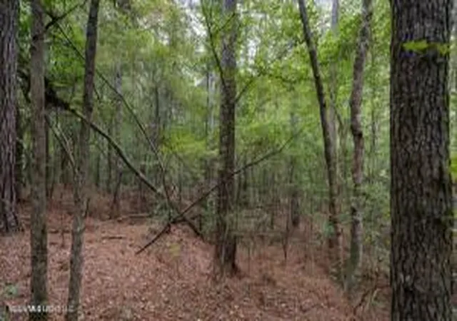Homes for sale in Lena, MS | 633 Lowhead Dam Rd, Lena, MS 39094 | MLS# 4152212