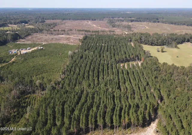 Homes for sale in Pelahatchie, MS | Loyd Irby Rd, Pelahatchie, MS 39145 | MLS# 4152384