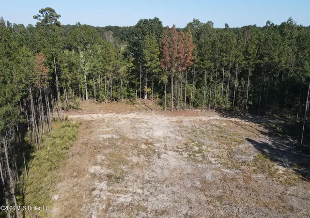 Homes for sale in Pelahatchie, MS | Loyd Irby Rd, Pelahatchie, MS 39145 | MLS# 4152384