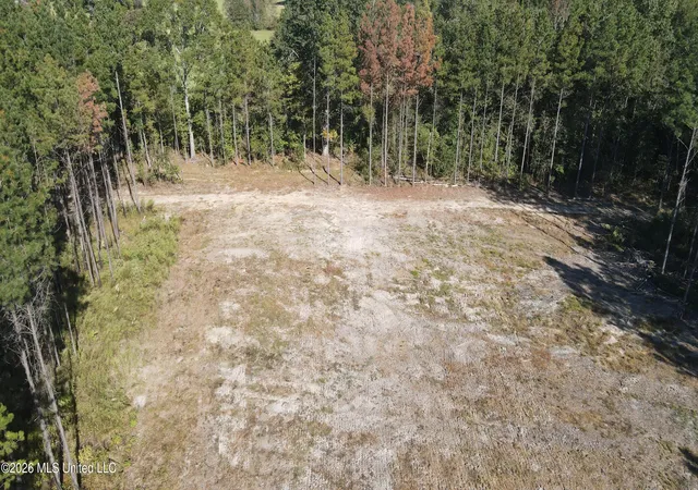 Homes for sale in Pelahatchie, MS | Loyd Irby Rd, Pelahatchie, MS 39145 | MLS# 4152384