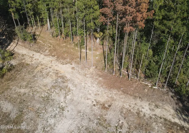 Homes for sale in Pelahatchie, MS | Loyd Irby Rd, Pelahatchie, MS 39145 | MLS# 4152384