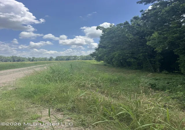 38th image of Cr 540, Greenwood, MS 38930 | MLS# 4152297